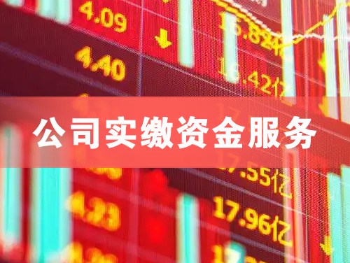 秦皇岛公司实缴资金服务